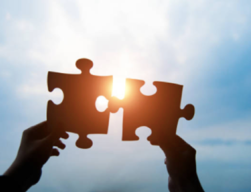 La vie du forum : membres & partenaires